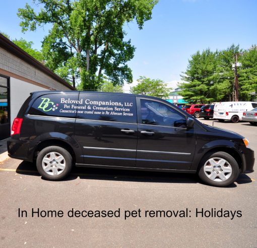 In Home removal (holidays) and weekends 9 AM - 5 PM
