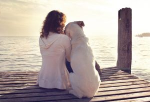 dog rests gently on his master's shoulder while looking the view